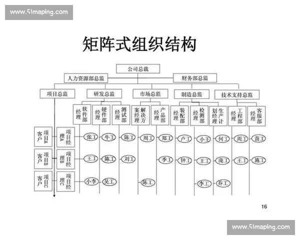 矩阵管理模式在企业组织结构中的应用与挑战分析